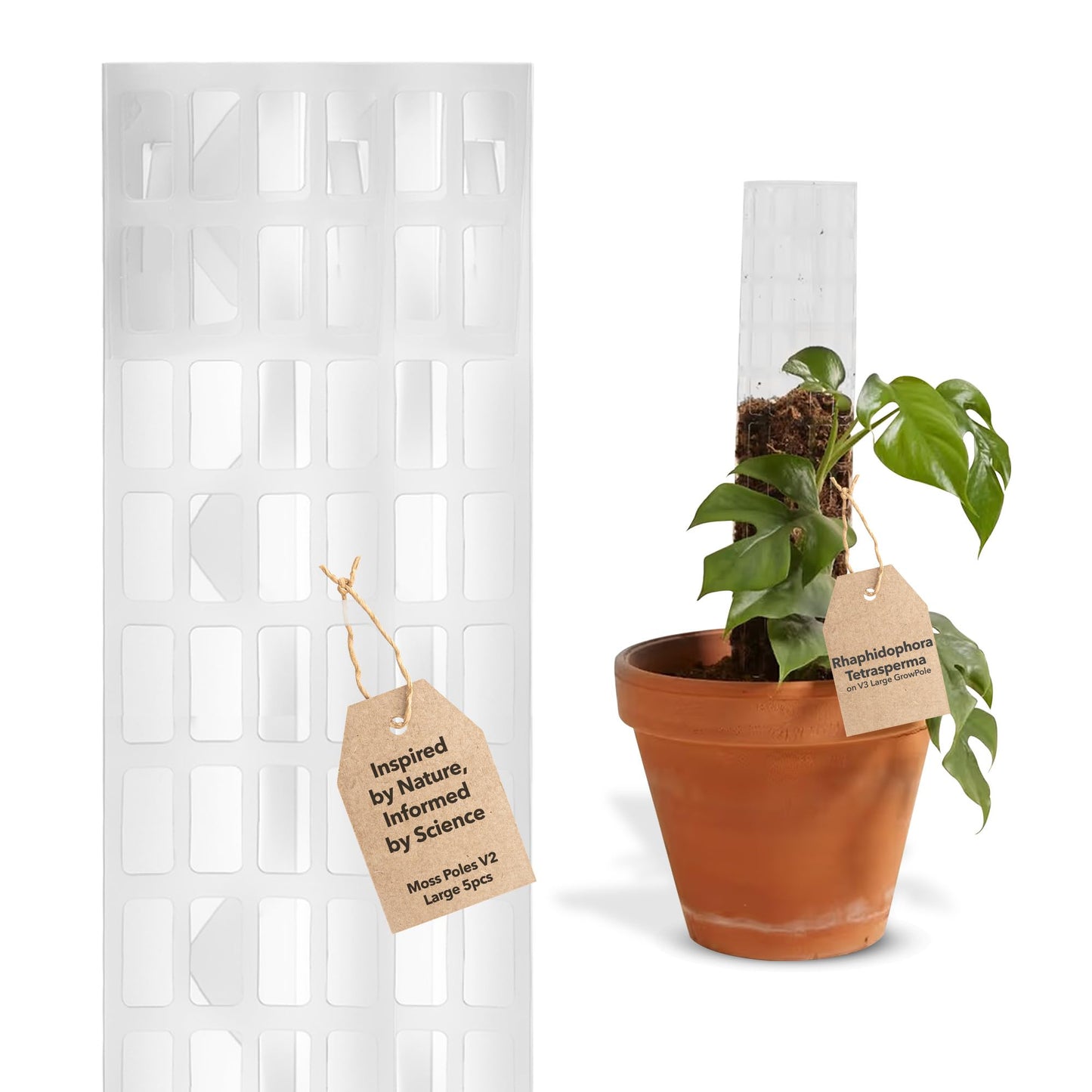 THICCLY V2 GrowPole Large 5 Pcs – Patented D-Shape Moss Pole for Climbing Plants, Moisture-Locking Closed Back, Stackable Monstera & Philodendron Support