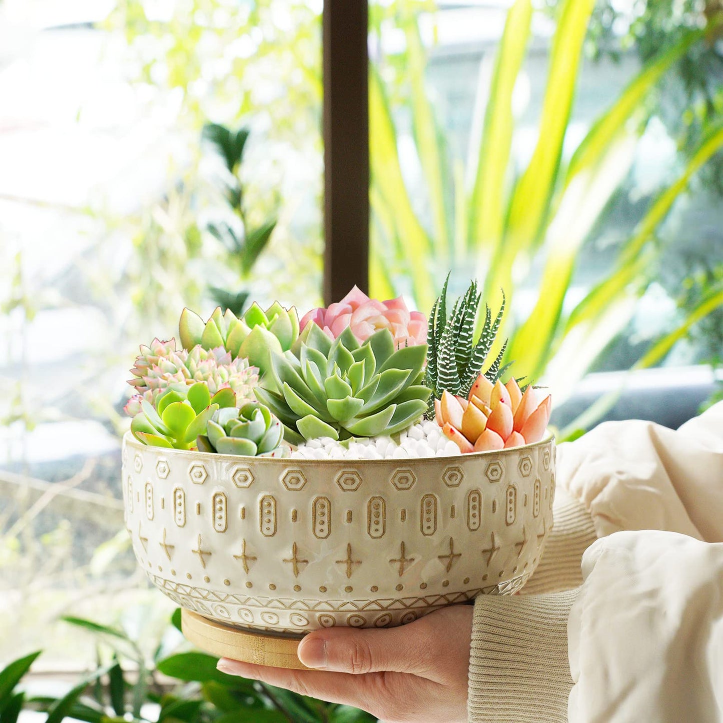 Fivepot 8 Inch Ceramic Succulent Planter Pots with Drainage Hole Flower Pot for Indoor Plants Round Shallow Bonsai Pot with Bamboo Tray White