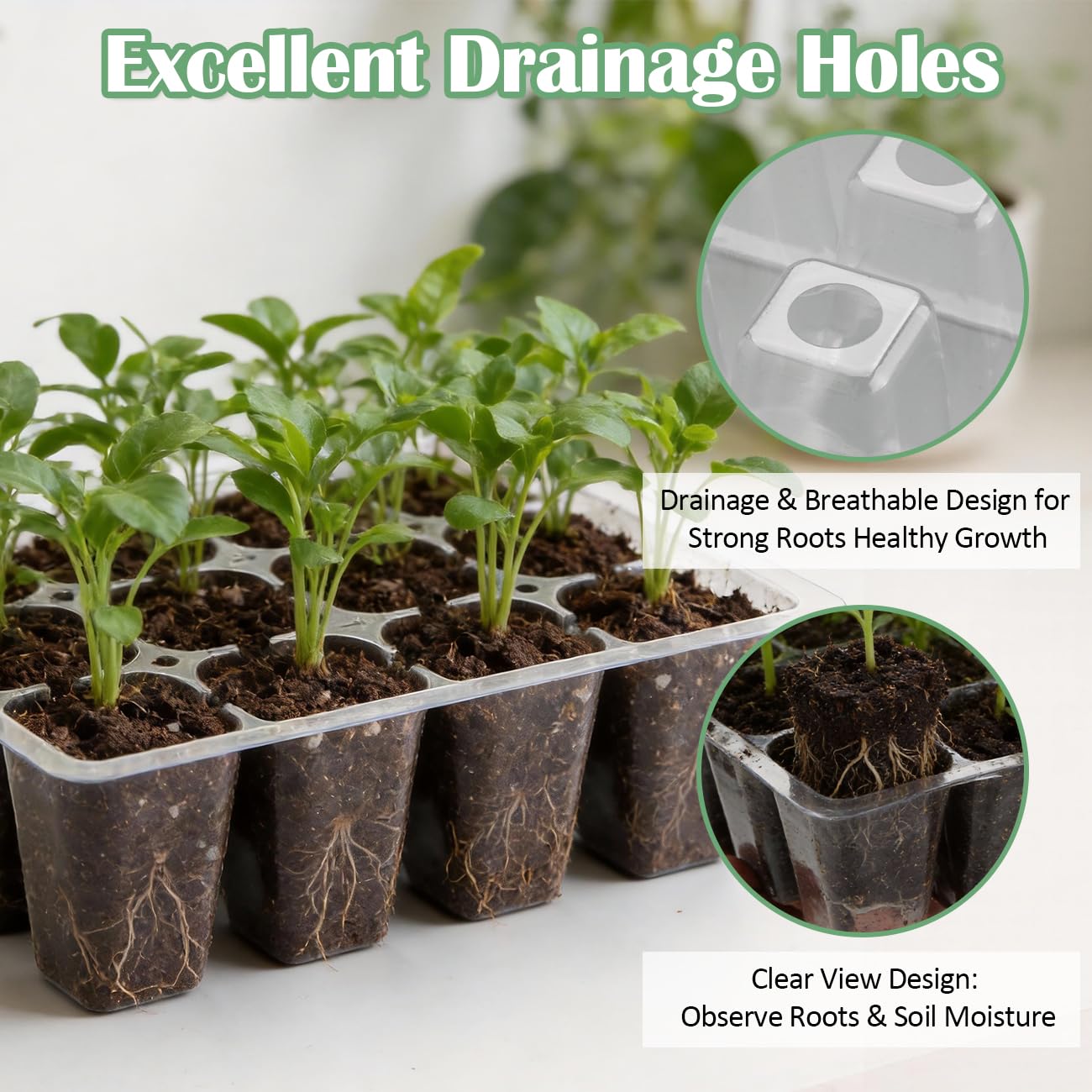 RooTrimmer 60 Pack Reusable 12-Cell Clear Seed Starter Trays - Extra Large Drainage Holes, Easy to Repotted, Clear Transparent Tray for Root Observation, Seed Starting, Fits Standard 1020 Trays
