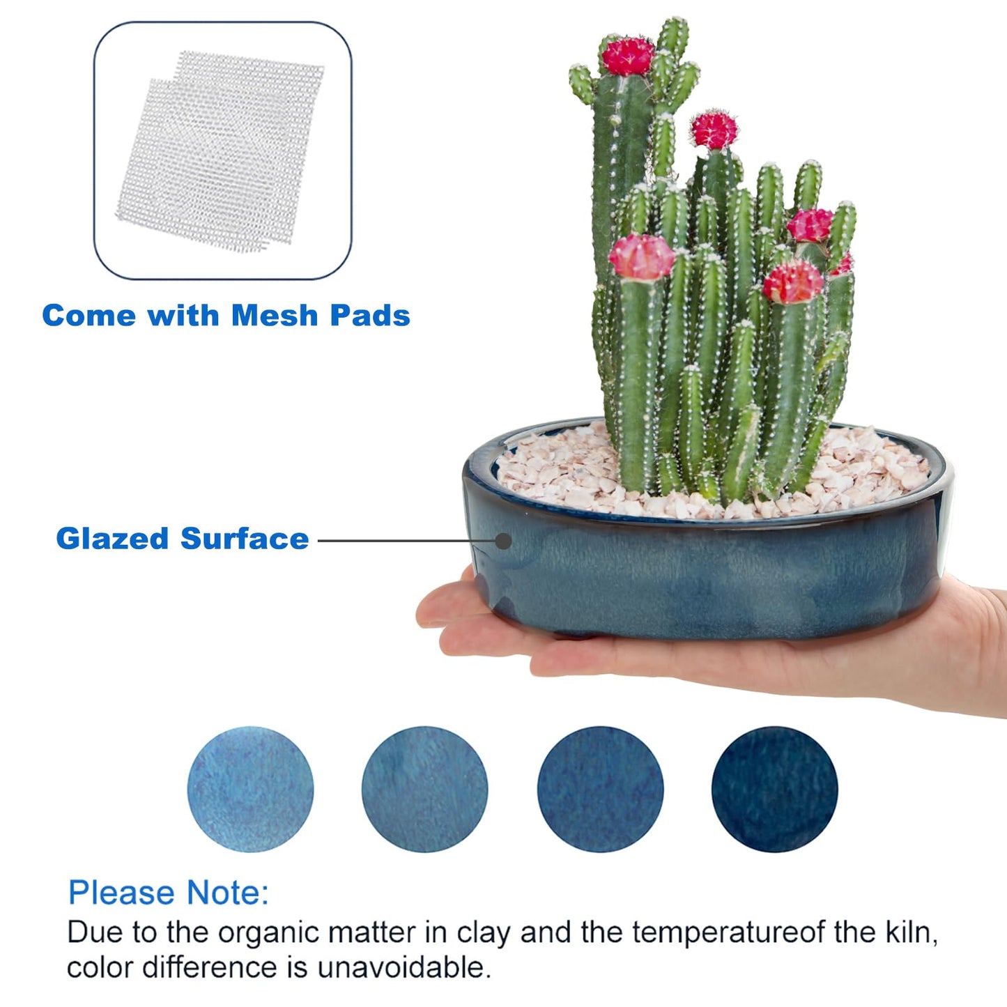 Bonsai Planter Succulent 5.9" Small Glazed Pots Value Set 2 + 4 Soft Mesh Drainage Screens