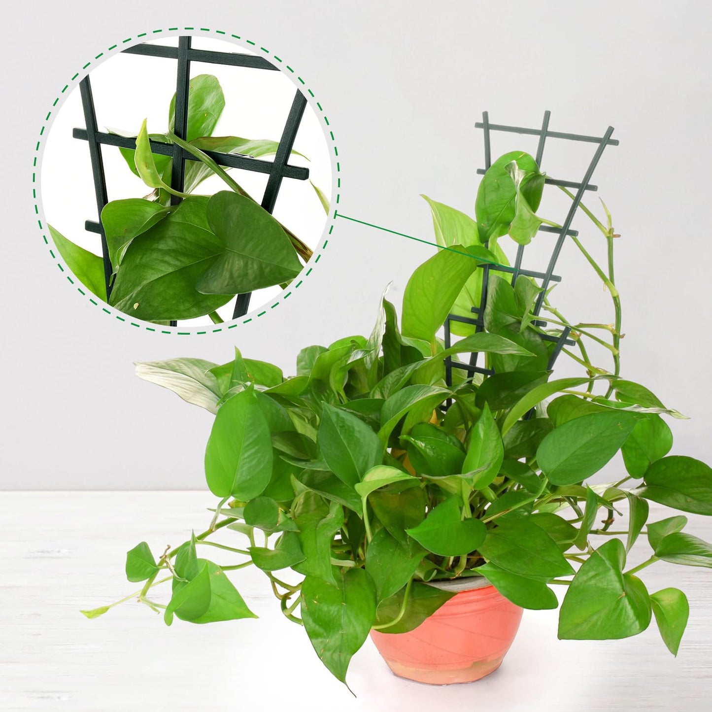 12 Pack Stackable Mini Climbing Plant Trellis for Indoor Potted Plants, Flower Pots Support, Peas, Hoya, Pothos