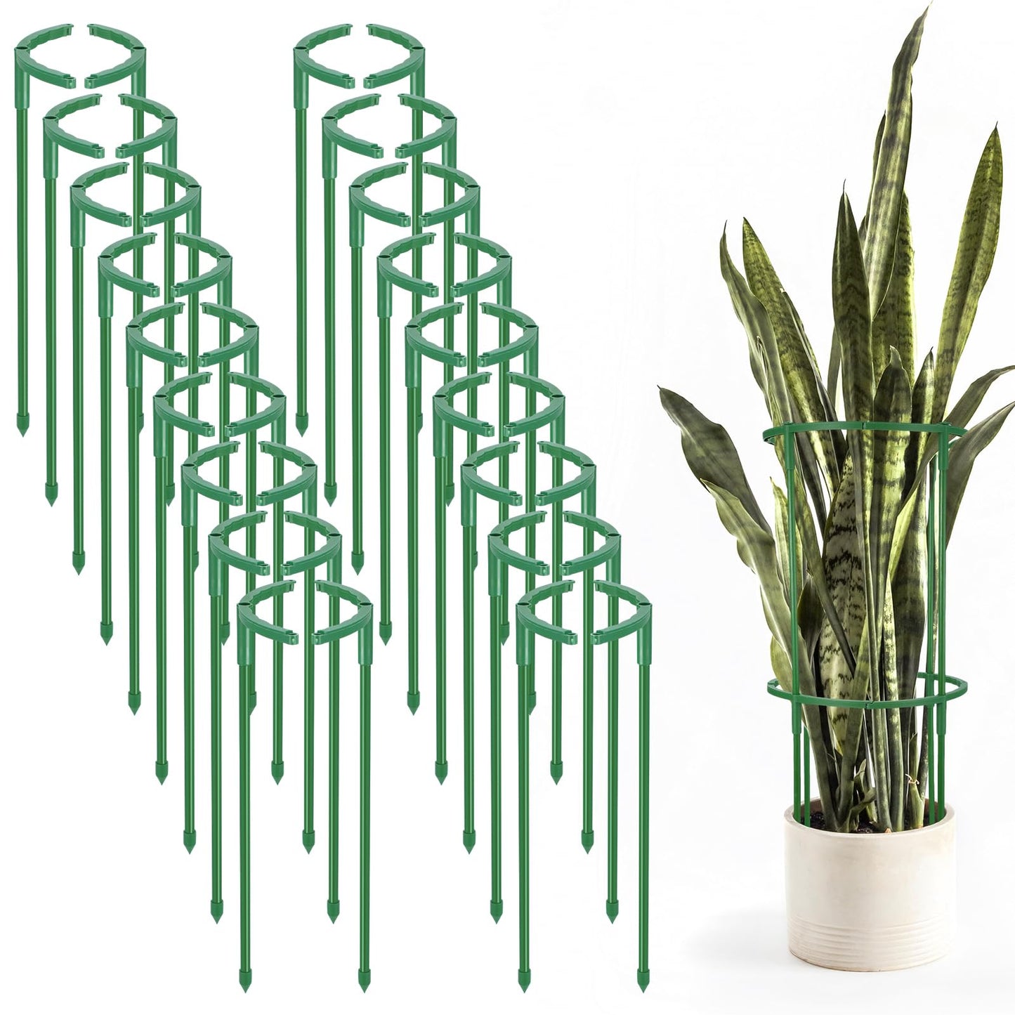 Hoemwarm 36 Pcs Plant Support Stakes, Half Round Plant Support for Indoor Plants Stackable Plant Holder Stick Plastic 9.8 Inch Plant Stakes for Tomato, Monstera, Peony, Hydrangea Climbing Plants