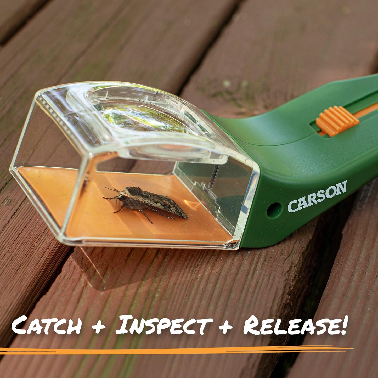Carson BugView 5X Magnifying Glass Quick-Release Bug Catcher Indoor and Outdoor Tool for Kids or Adults (HU-10)