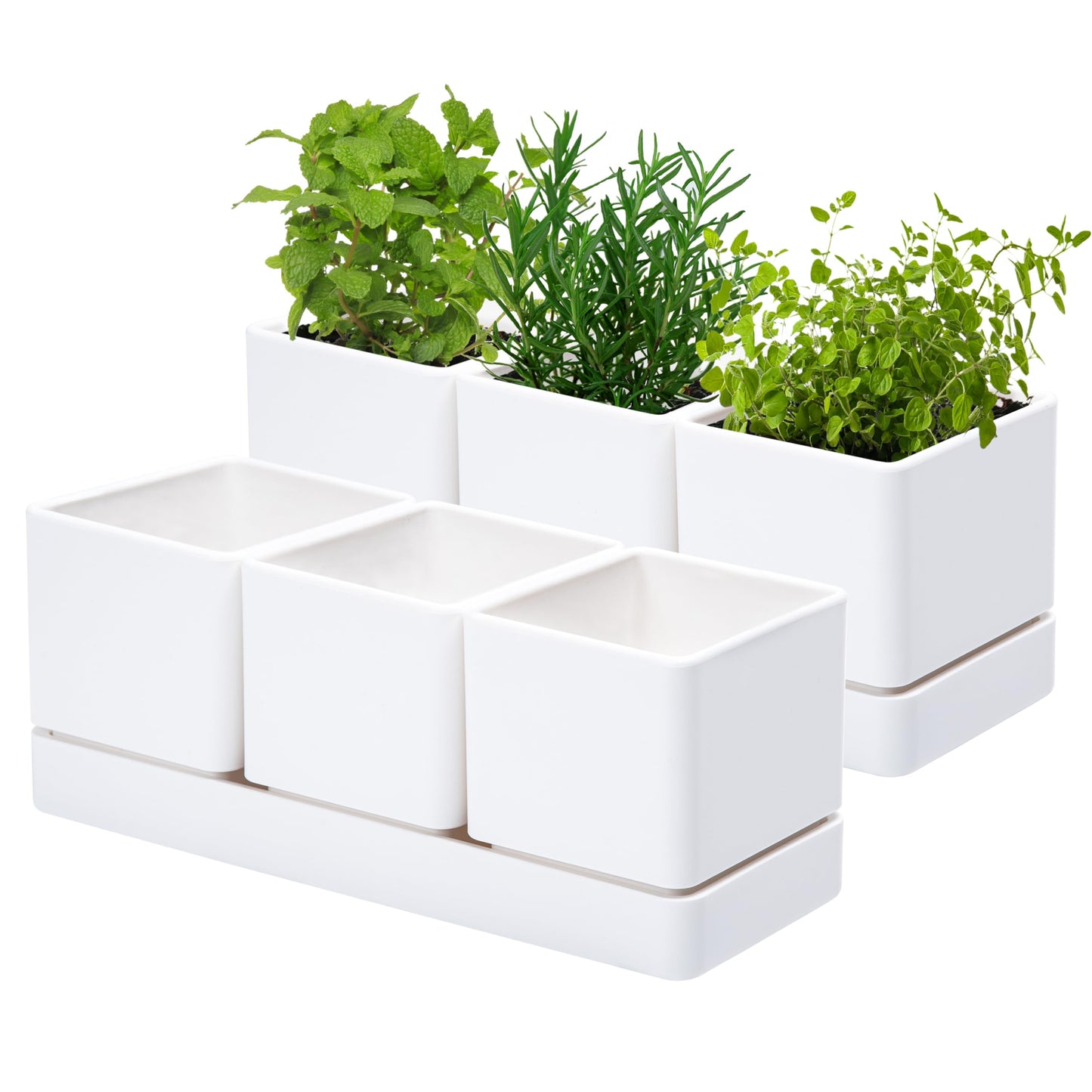 D'vine Dev Herb Garden Planter Set, Plastic Plant Pots with Drainage and Saucer, Indoor Succulent Cactus Vegetable Pot for Windowsill, Garden Balcony, White, Set of 2, 76-V-A-2