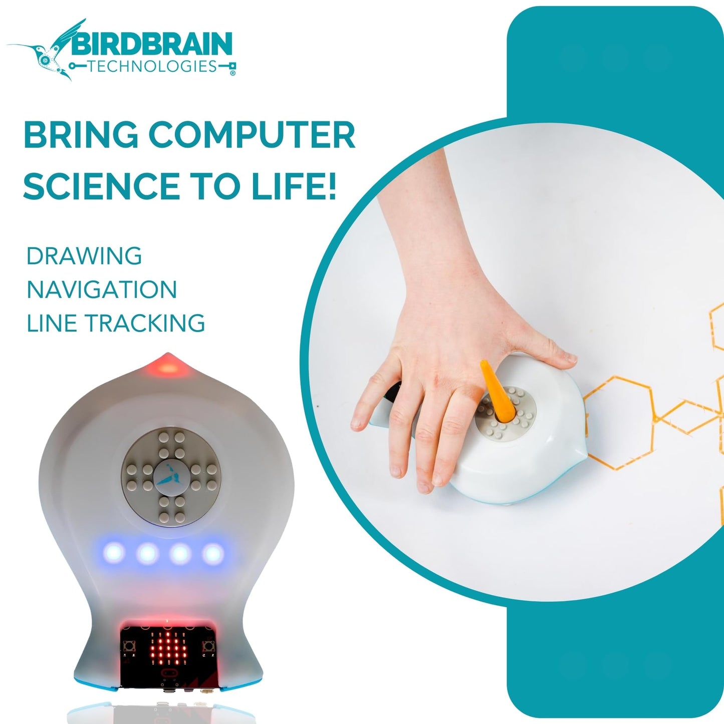 BirdBrain Finch Robot 2.0 with Microbit - STEM Coding Robot Toy for Kids & Adults - Learn Python & 8 Coding Languages - Programmable Robotics Kit - Remote Control & App Controlled | Ages 5-16