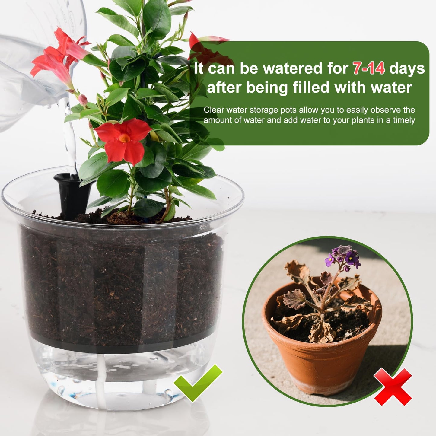 IWNTWY Plant Pots 6/5/4 inch Set of 3, Self Watering Pots for Indoor Outdoor Plants Flowers, Self Watering Planters with Reservoir, Drainage Hole and Absorbent Cotton Rope