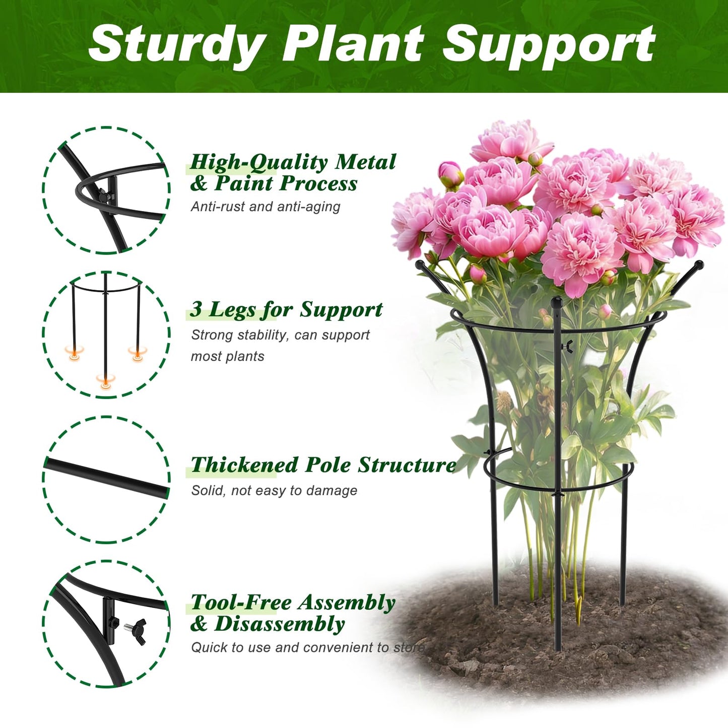 4 Pack Peony Cages and Supports, 12.5" Dx24 H Plant Supports for Outdoor Plants, Double-Ring Metal Peony Support Cage, Natural Bouquet Shape Plant Support Rings for Rose Tomato Hydrangea Strawberry