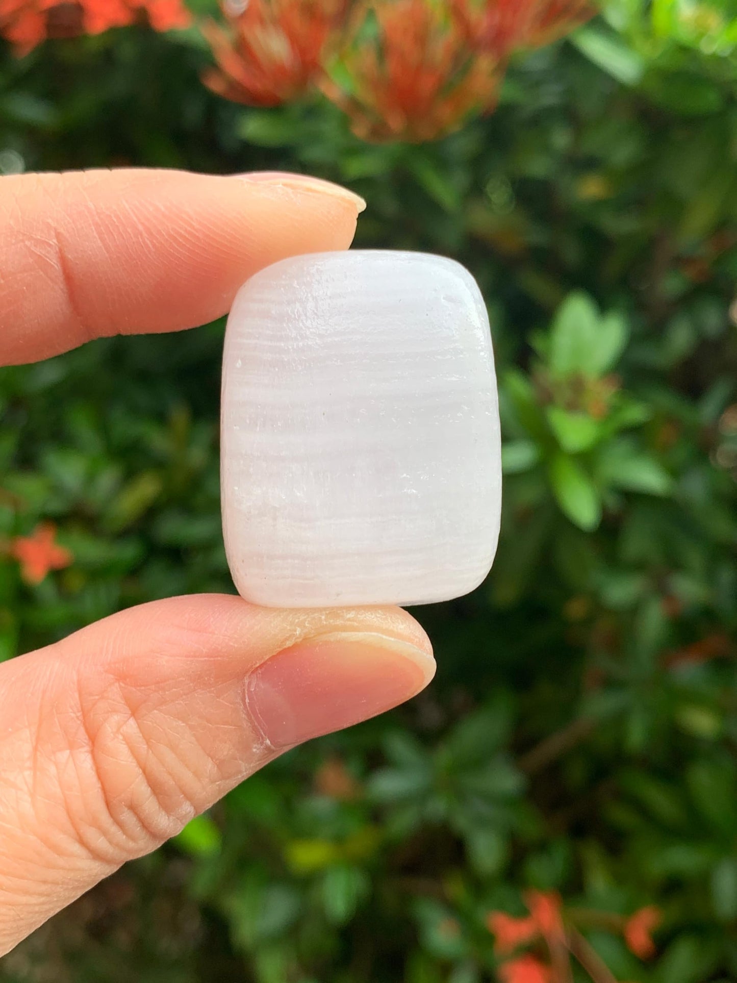 GAF TREASURES 5 Pcs Pink Calcite Tumbled Stones, Polished Natural Pink Calcite Gemstone, Pink Calcite Healing Crystals (Pink Calcite)