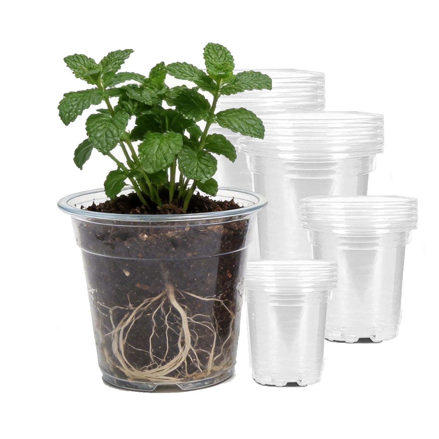 Yondaha Clear Nursery Pots with Drainage – 3.5/4/5/6 Inch, 20 Pack (5 Each Size), Plastic Pots for Plants, Clear Pots for Propagation, Transplanting & Indoor Gardening