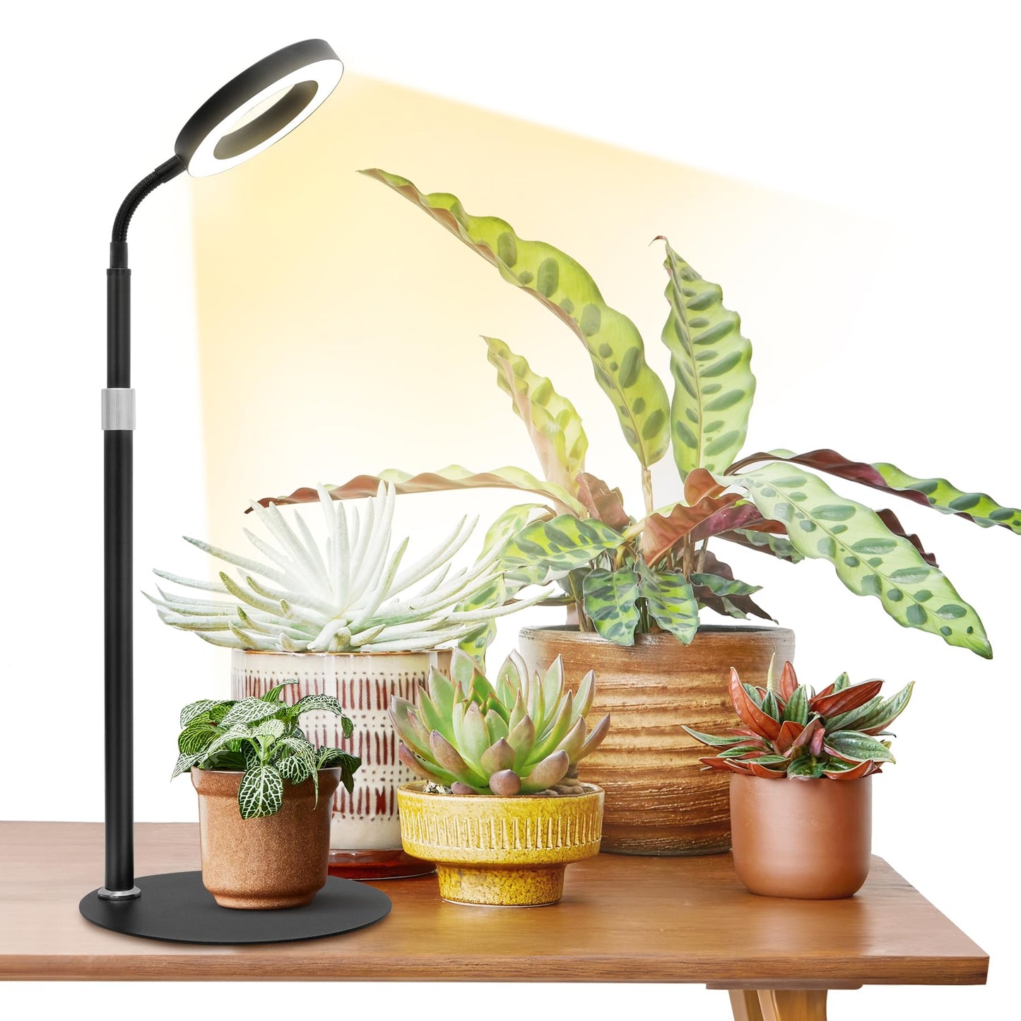 Vsoke Desk Top Grow Lights for Indoor Plants,Full Spectrum Table Plant Light,24.2" Telescope Stand,UV LED Red Blue Halo Growing Lamp,Adjustable Gooseneck,Auto Timer,3 Lighting Modes,10-Level Dimmable
