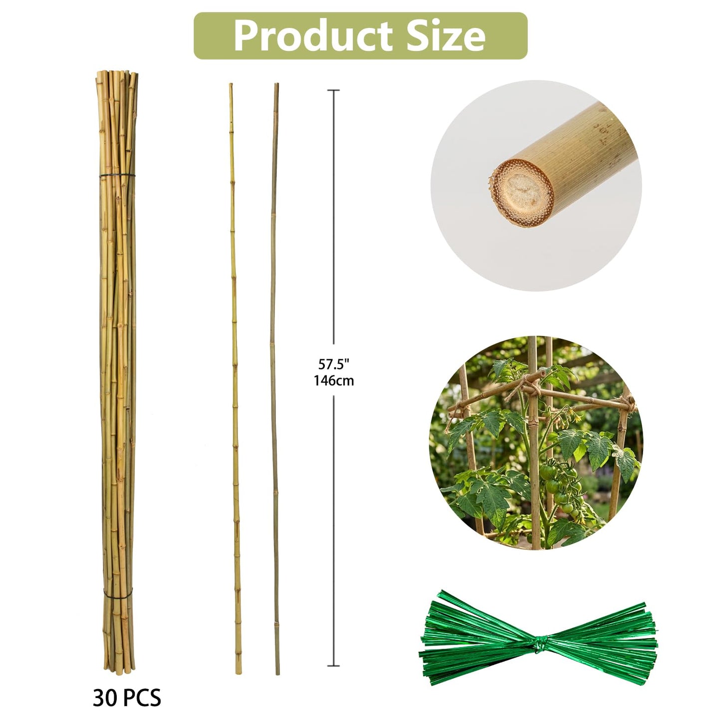 Plant Stakes Natural Bamboo Sticks - 30 Pcs Bamboo Garden Stakes for Plants 4.8 FT Plant Support Sticks with Twist Ties for Tomatoes Beans Flowers Indoor Outdoor Potted Climbing Plants