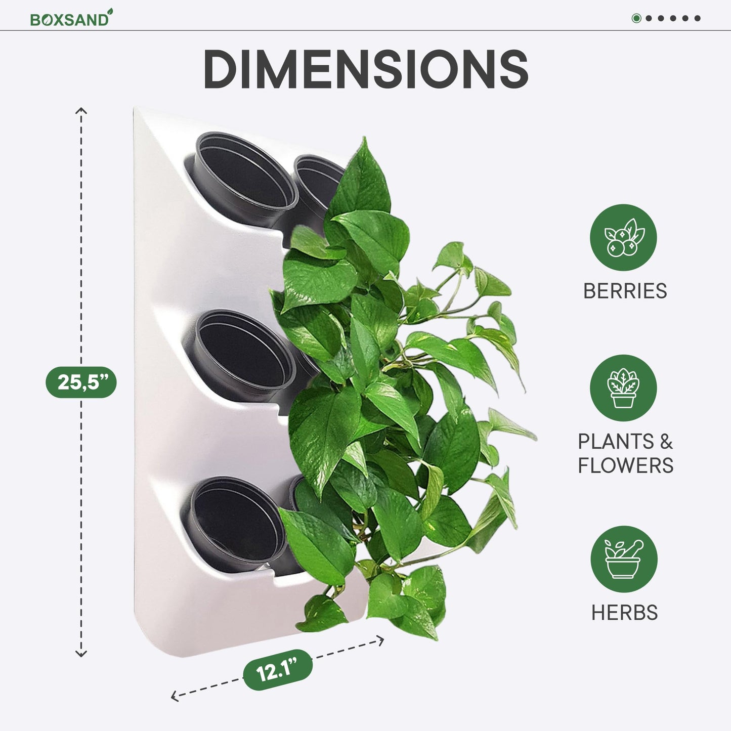 BOXSAND-6 Vertical Wall Planter (12"x26", White with Black Pots) – Living Wall for 6 Plants, Indoor/Outdoor Vertical Garden System, Easy 2-Screw Install