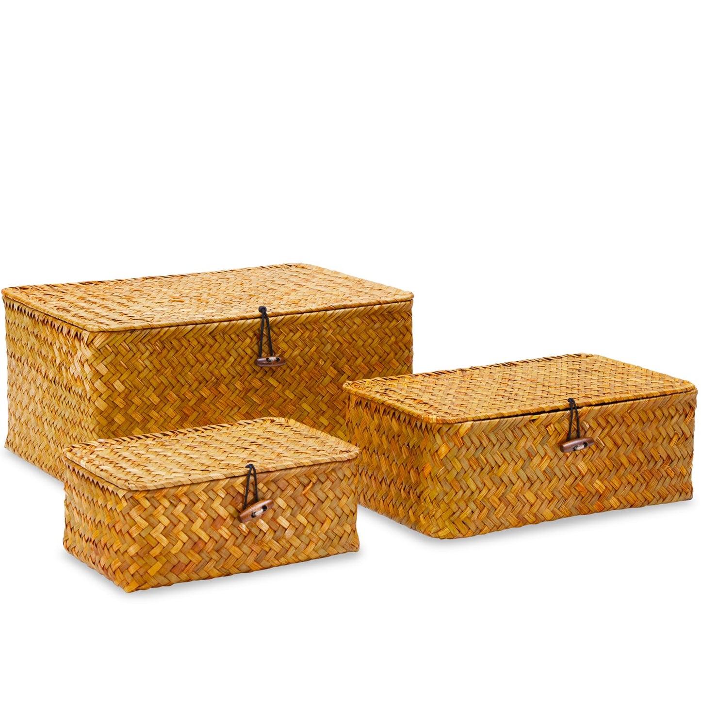 EugroVanth Wicker Storage Box with Lid, Handwoven Baskets for Storage, Rectangle Decorative Baskets Bins Container for Shelf Organizing Home, Set of 3, Natural