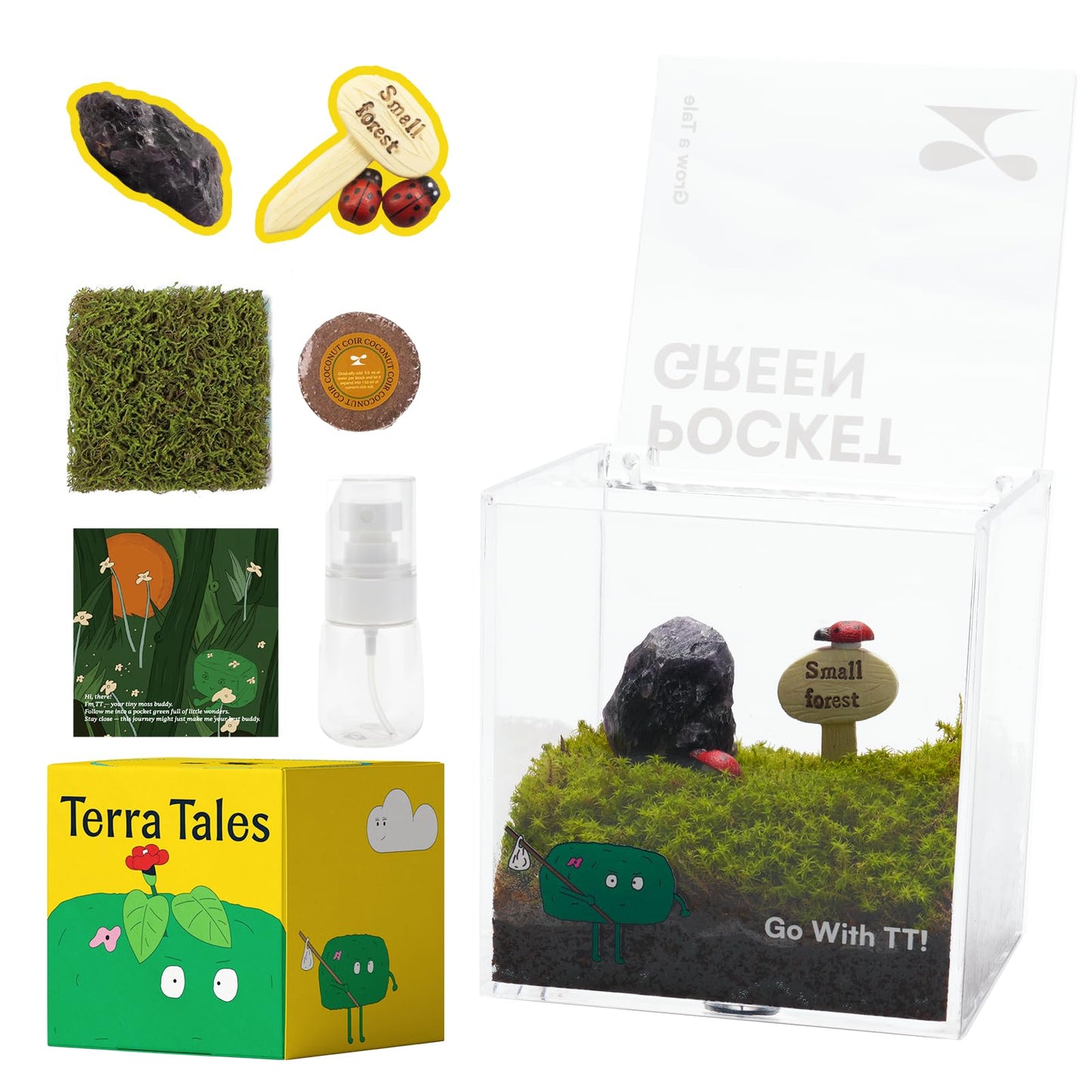 DIY Moss Terrarium Kit, 4 * 4 * 4 inch Acrylic Cube Mini Garden with Live Star Moss, Soil, Boundless Fortune-Craft Kit for Adults and Teens, Relaxing Desk Decor & Unique Gift for Home or Office