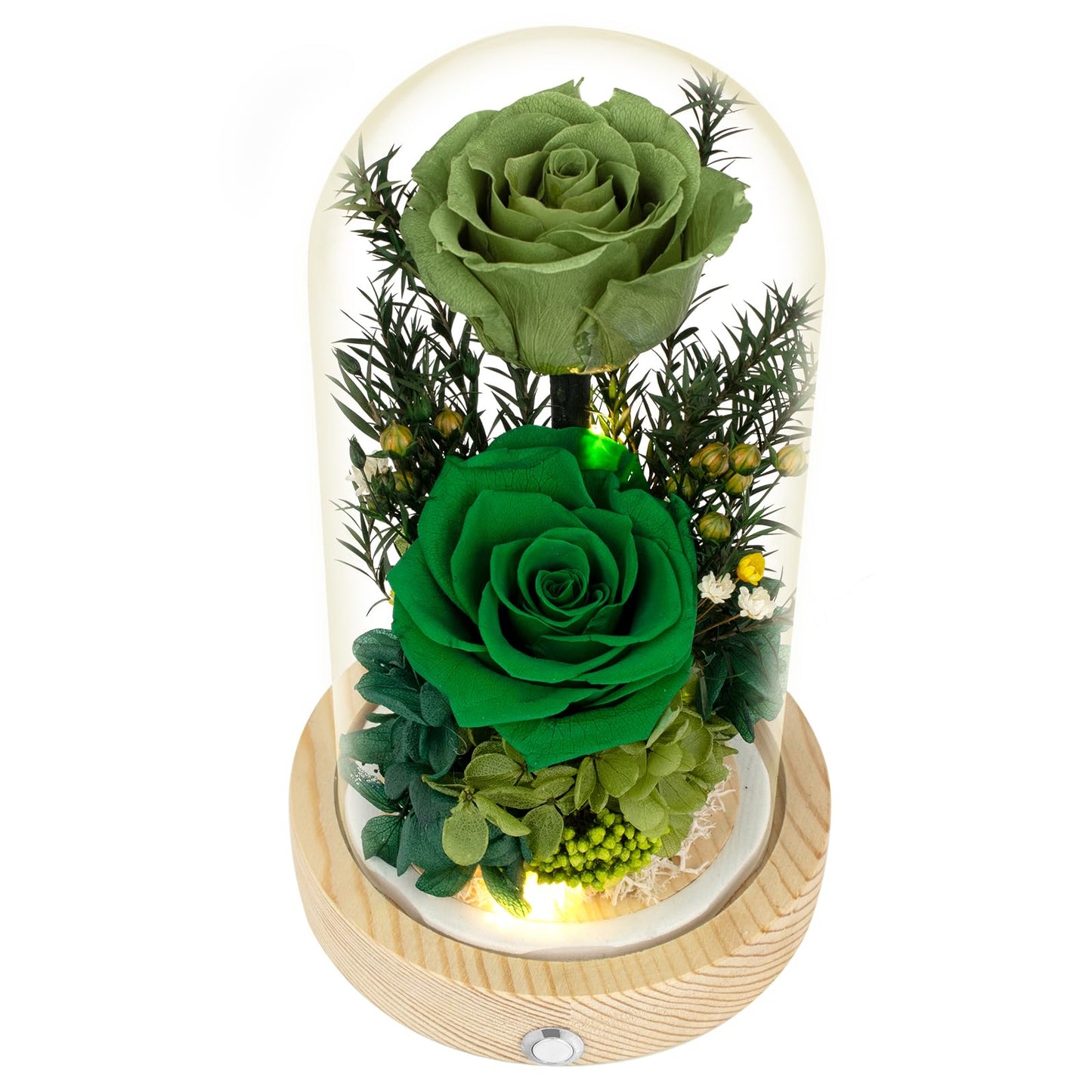 Regalo Flor Preserved Flowers Gifts for Women, Unique Green Preserved Roses in Glass Dome, Forever Flowers for Mom, Birthday Gifts for Women