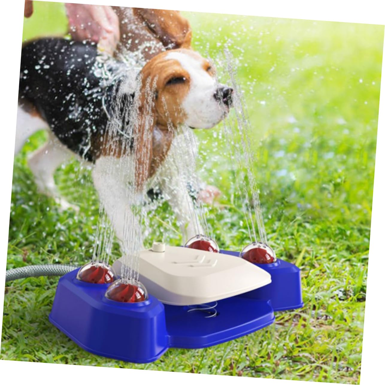 HOMOBABE Pet Automatic Water Dispenser Shower Spray Toy Versatile Water Spray Fun for Dogs Interactive Plaything for Bathing and Outdoor Activities