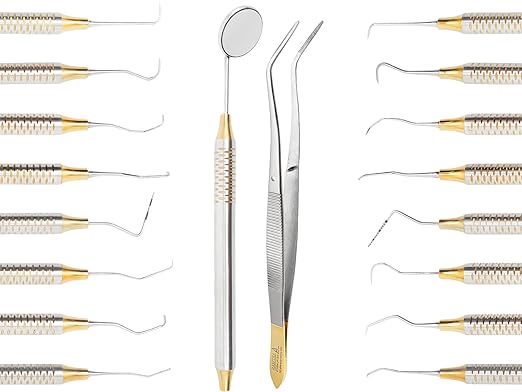 ARTMAN INSTRUMENTS Dental Hygienist Tool Kit (10 PCs) – Includes Mirror, Probe, Tweezer, Scalers, Pocket Probe, Curettes – Prophylaxis Teeth Cleaning Set, Autoclavable, with Sterilization Cassette