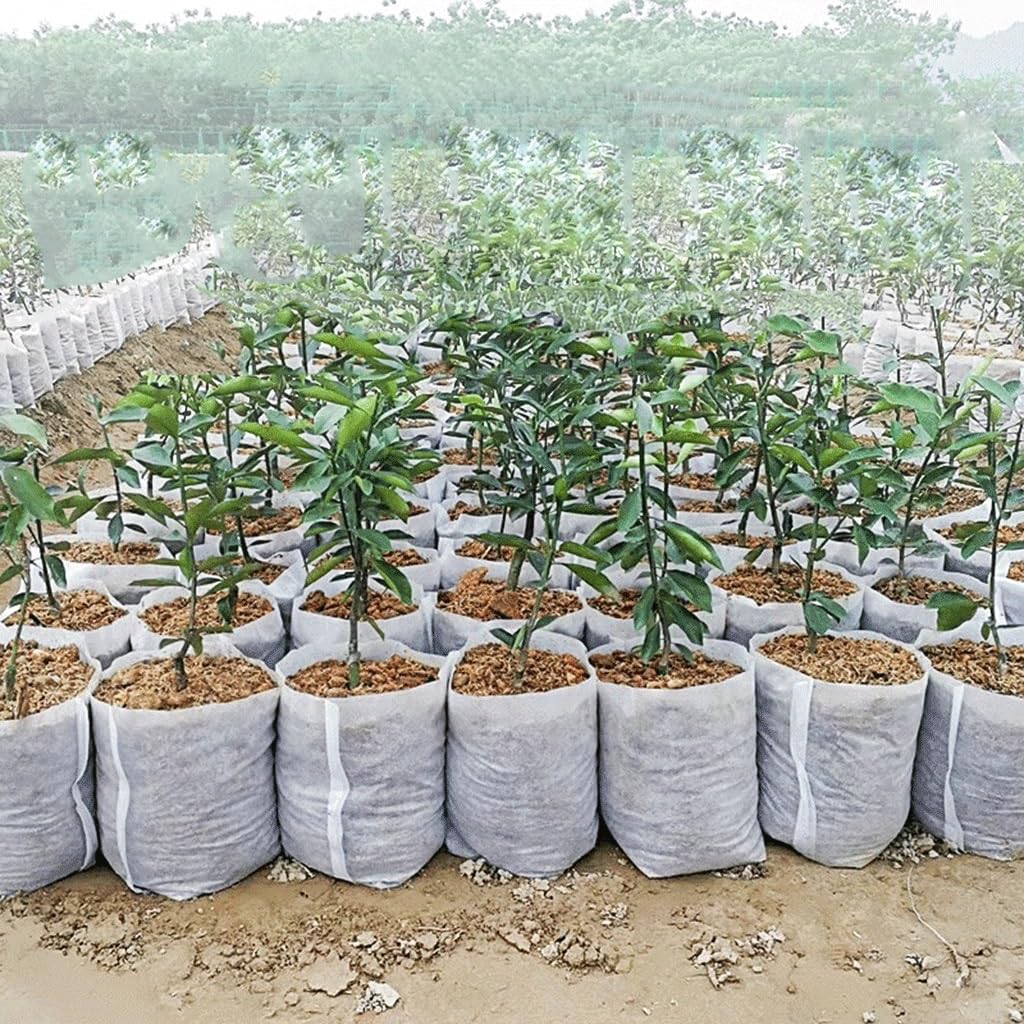 EVANEM 100Pcs Biodegradable Non-Woven Seedling Pots Eco-Friendly Planting Bags Nursery Bag, Plant Grow Bags Garden Accessories(12x13cm(Diameter7High9.5))