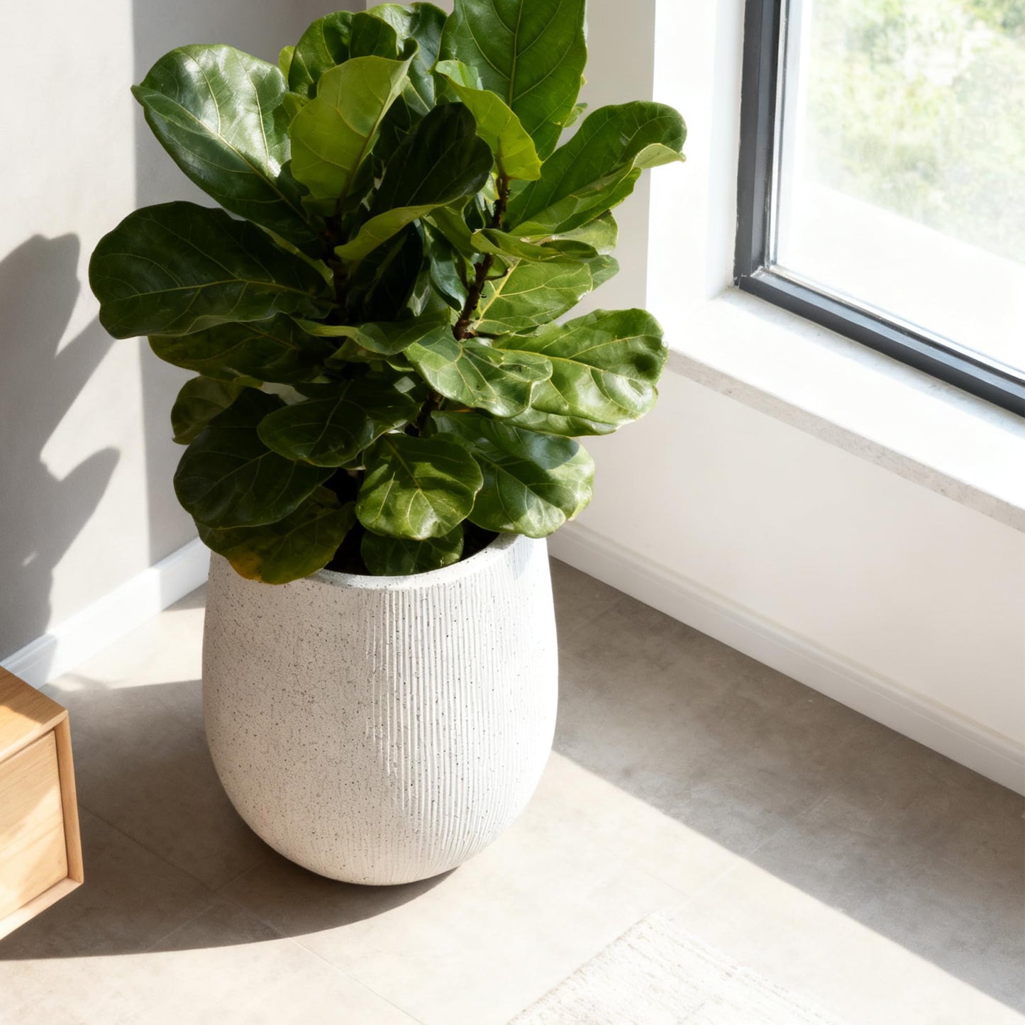 Worth Garden White Large Round Planter, 12.5" Dia x 18.5" H Lightweight Magnesium Oxide Cement Plant Pot with a Striped Textured Finish, Raised Pattern Concrete Look, Drainage Hole, Indoor & Outdoor