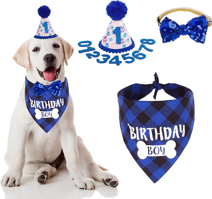 ADOGGYGO Dog Birthday Hat, Pink Birthday Girl Bandana Set, Small