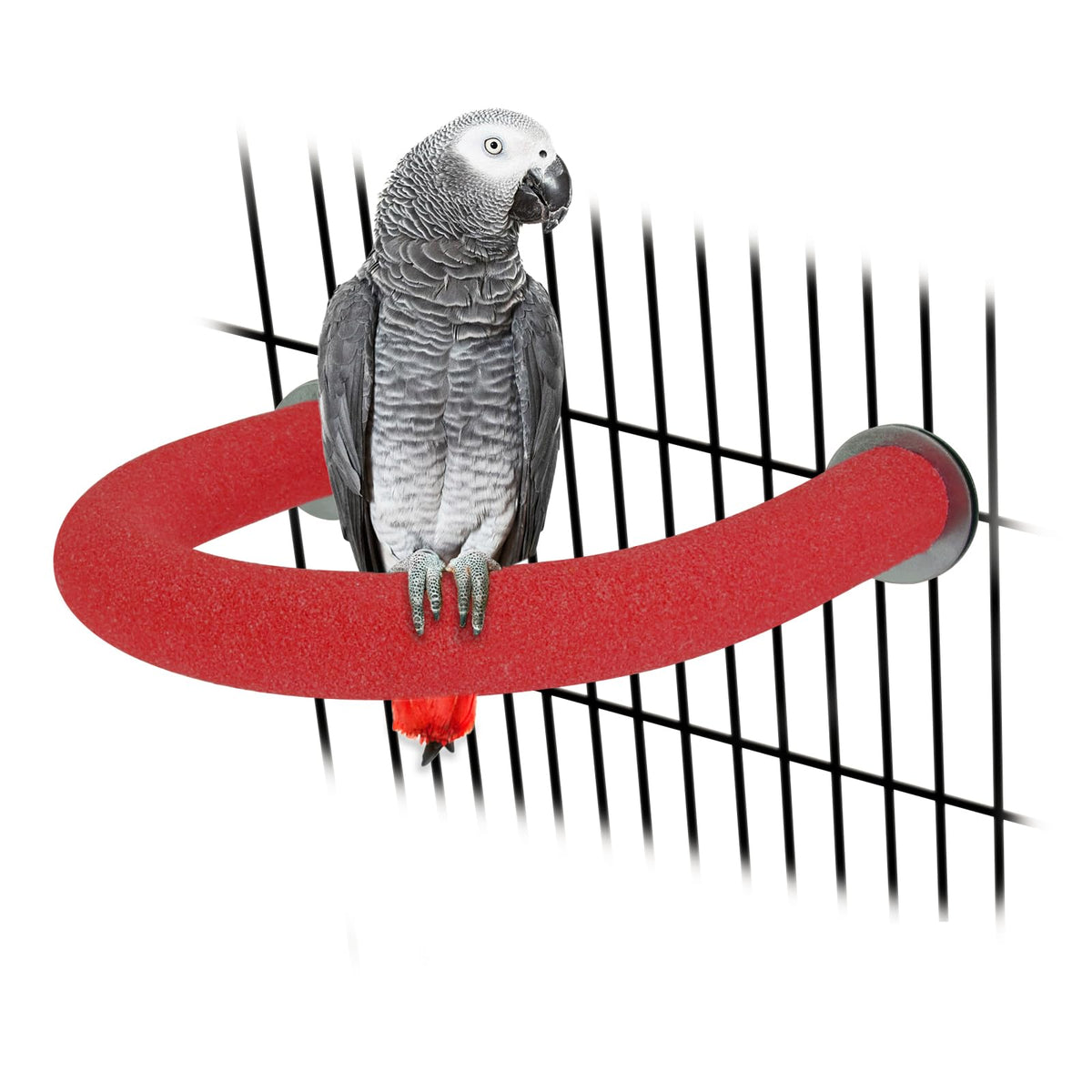 Rypet 90-Degree Parrot Perch for Cage Corner, Quartz Bird Perch (Green XL)
