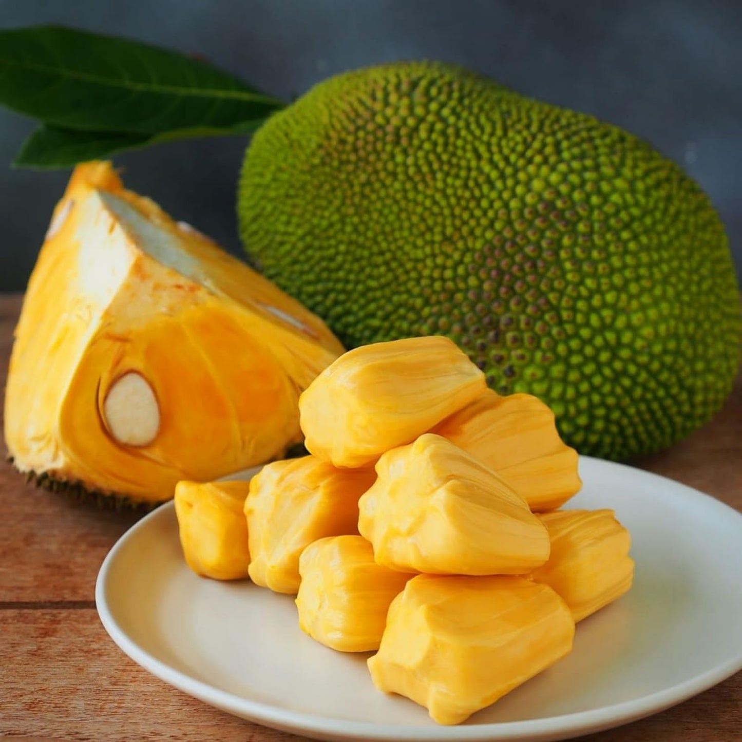 Jackfruit Plant, 6-10 Inch Live Tropical Jackfruit Fruit Tree, 4 Inch Pot, Large Sweet Fruit Starter Plant