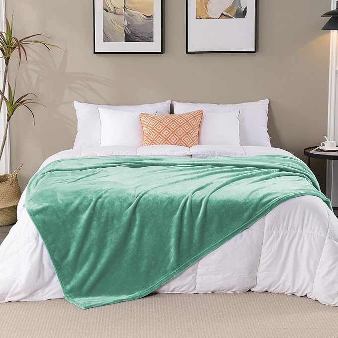 SOCHOW Flannel Fleece Blanket King Size, All Season Lightweight Super Soft Cozy Blanket for Bed or Couch, Celadon, 90" X 108"
