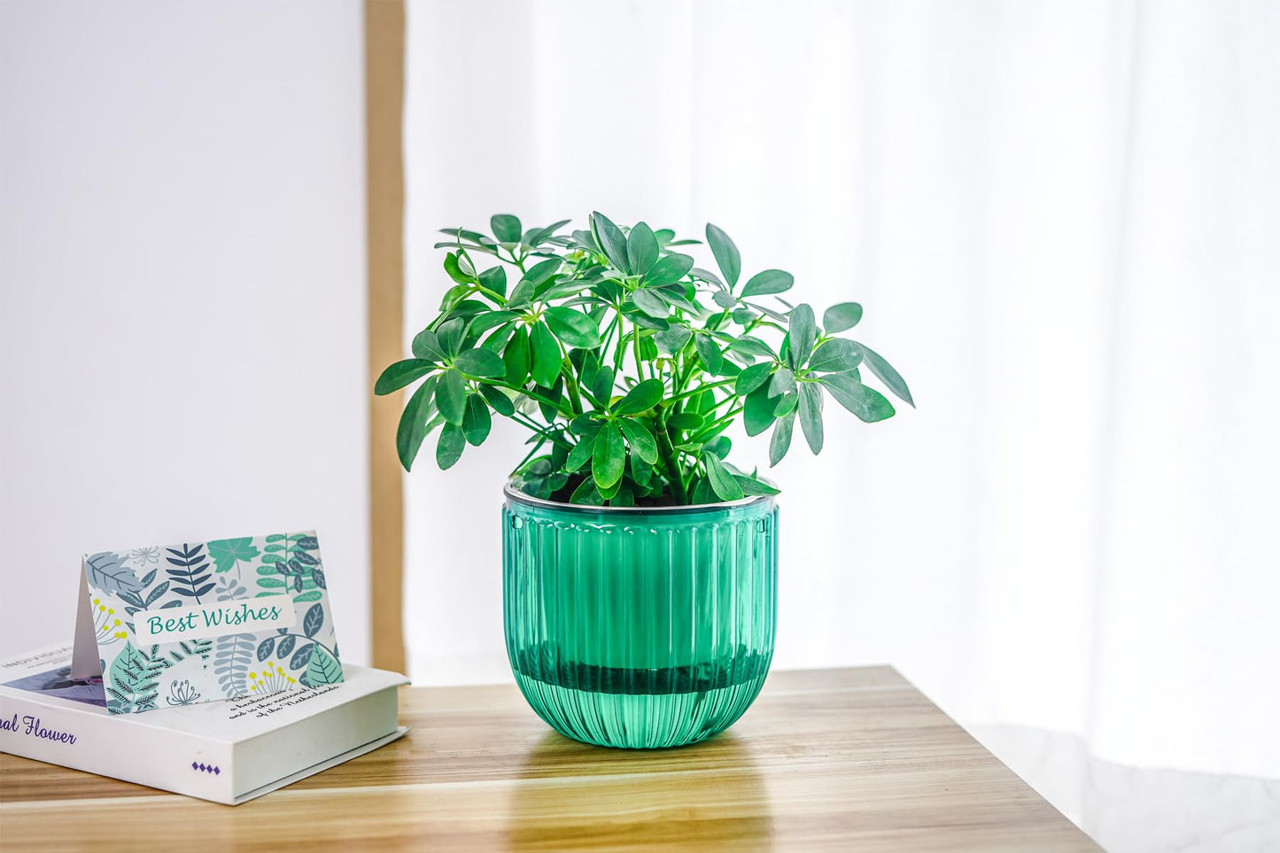 Melphoe 2Pack 6.5'' & 1Pack 8.3'' Self Watering Hanging Planters