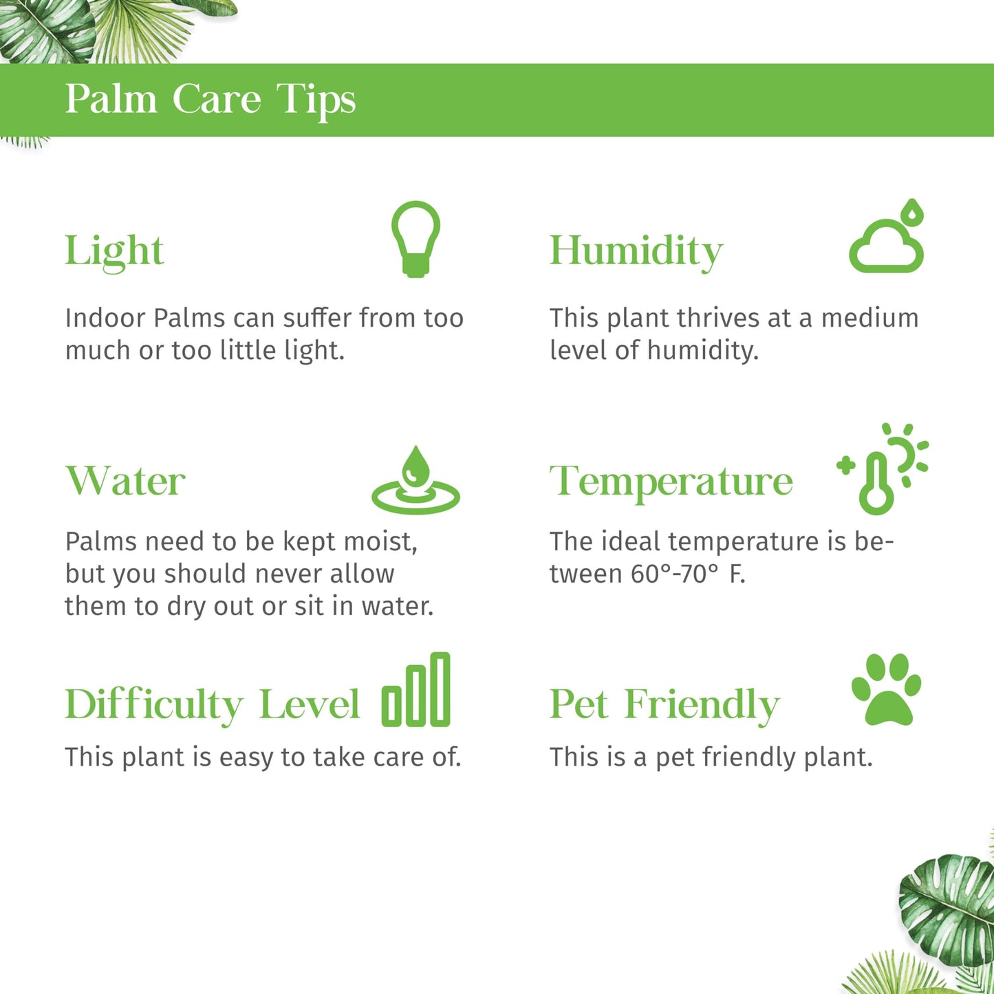 Parlor Palm Live Plant for Indoor | Different Houseplants in 3'' Pot | Real House Plant for Living Room, Office, Desk & Bathroom | Neanthe Bella Palm | Chamaedorea elegans