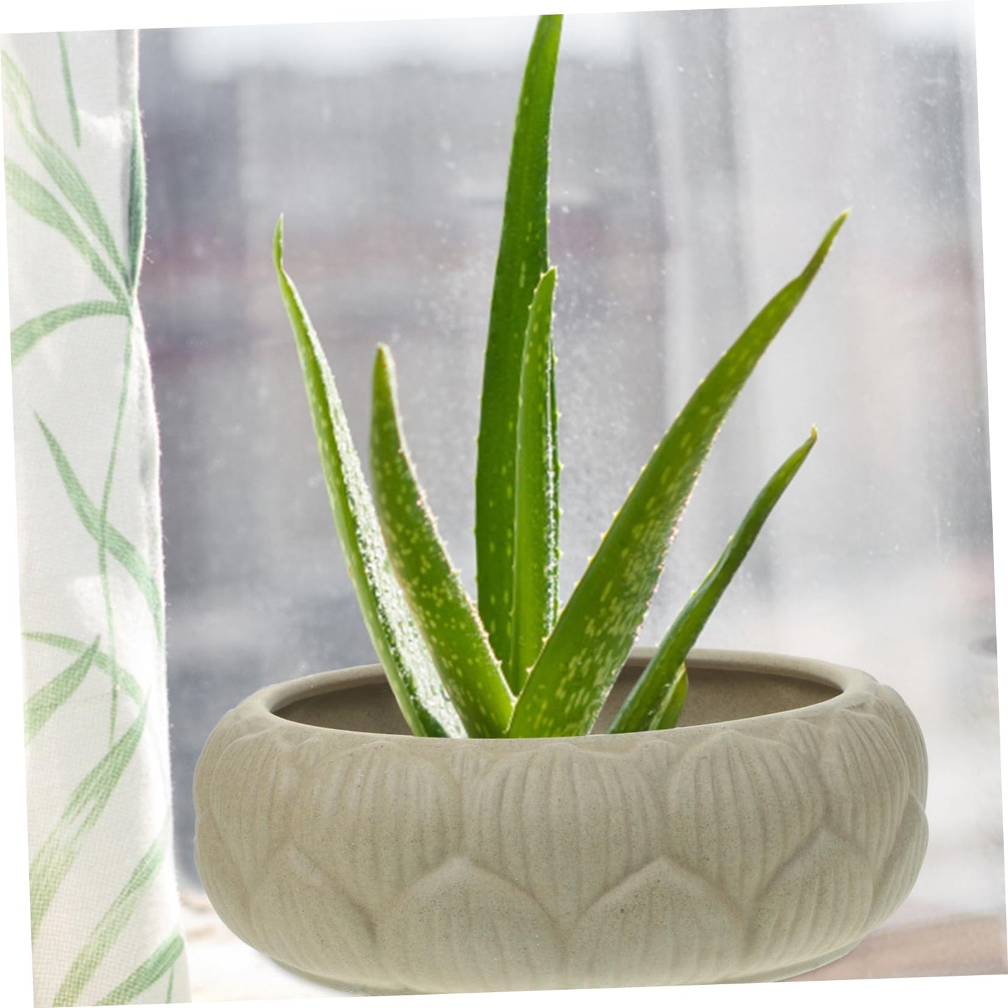 Parliky Hydroponic Planter Bowl 8.26In Round Ceramic Flower Pot for Water Lily Succulents Indoor Garden Decoration and Storage Container