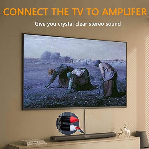 RCA Cable 3Ft,2Rca Male to 2-Rca Male Audio Stereo Subwoofer Cable [Hi-Fi Sound] Nylon-Braided Auxiliary Audio Cord for Home Theater, HDTV, Amplifiers, Hi-Fi Systems,Speakers and etc(3Ft/1M)