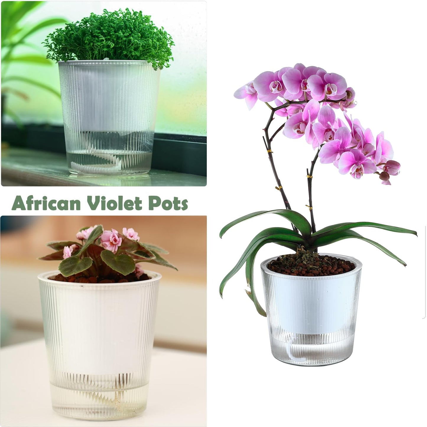 10-Pack 4.5 Inches Clear Self-Watering Pots for Indoor Plants Small Orchid Flower Pot Plastic Wick Planters for African Violet, Home Decor Pot