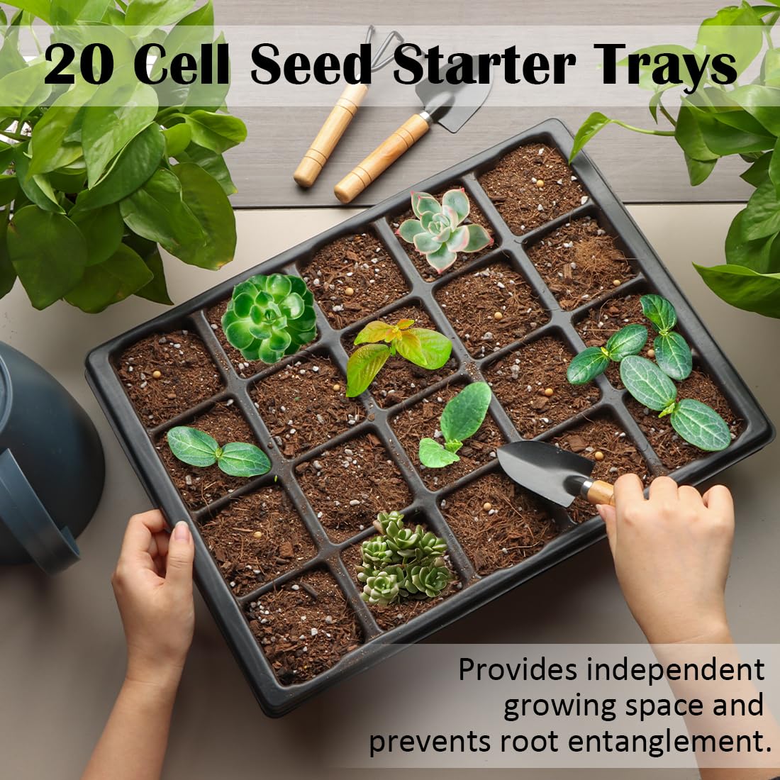 RooTrimmer 2.5 inch Square Pots 3.5 inch Deep 20 Cell Seedling Trays with Water Collection Nursery Trays (15"x11"x3") for Seeds Starting and Transplanting(5 Sets)