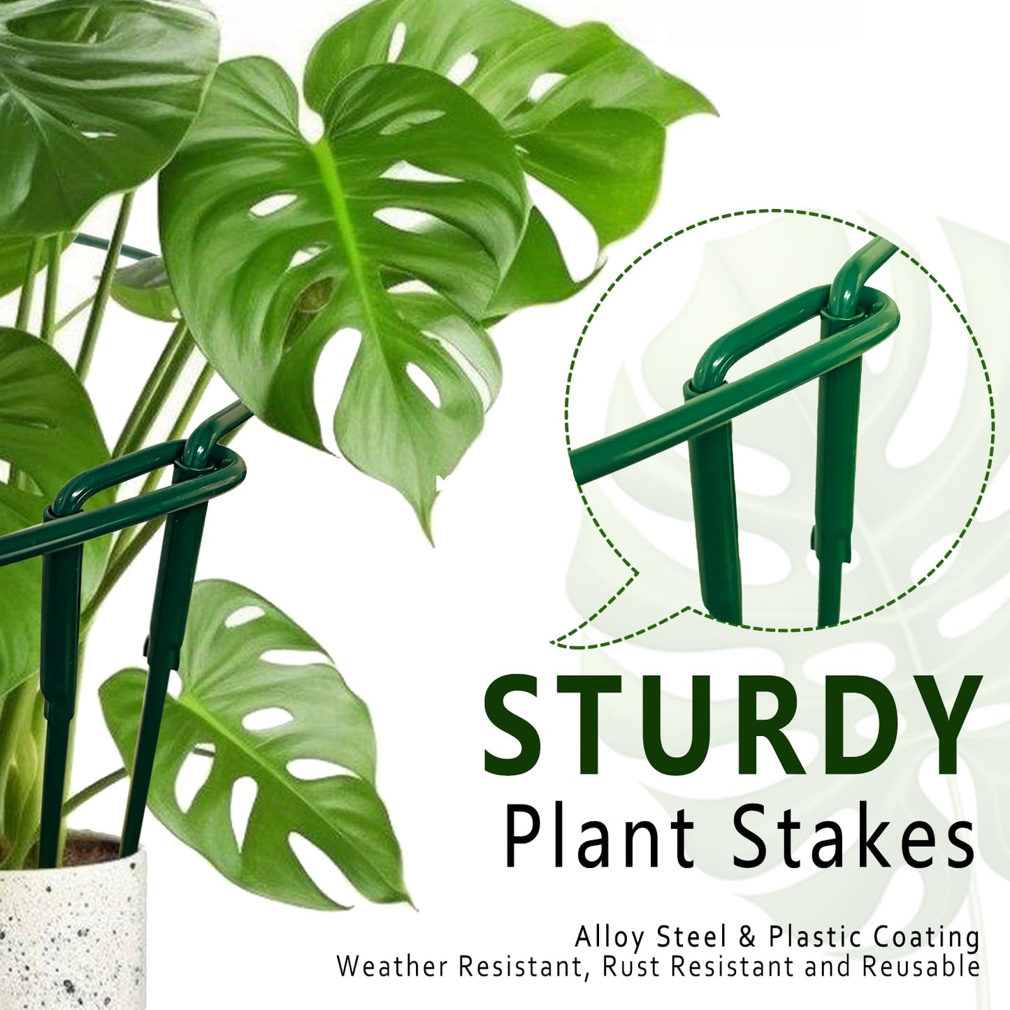 6 Pack Detachable & Assemblable Metal Plant Support Stakes - Garden Support Ring, Tomato Seedling Cage, Young Monstera/Pothos for Growing Indoor/Outdoor (10" W x 16" H)