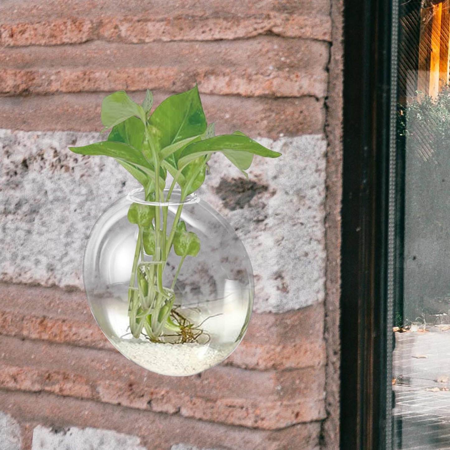 CONGARTENO Wall Mounted Hydroponic Planter Glass Vase, Small Hanging Terrarium Vase for Indoor Plant Propagation, Decorative Wall Pot for Home Décor