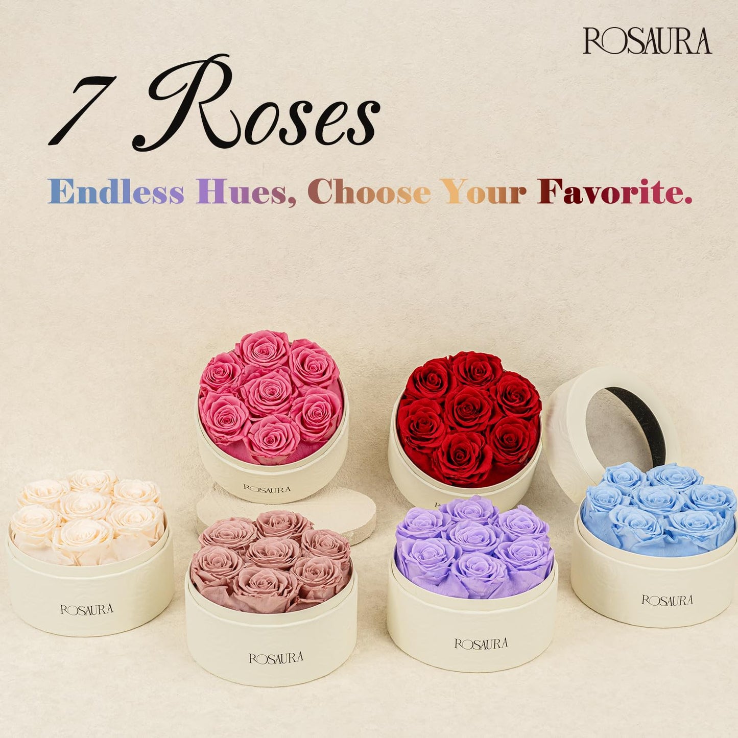 Rosaura Round Preserved Roses Gift Box (Pink, 7 Roses)
