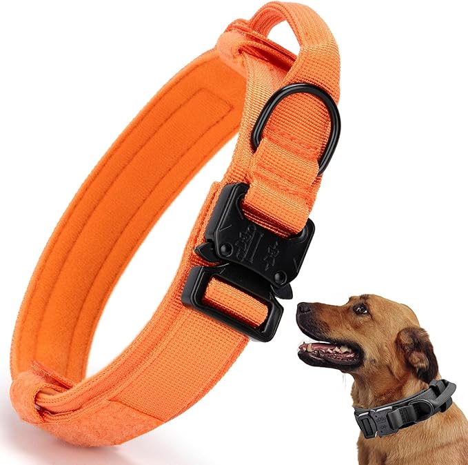 Tactical Dog Collar, Adjustable Military Training Collars, Emerald Green M