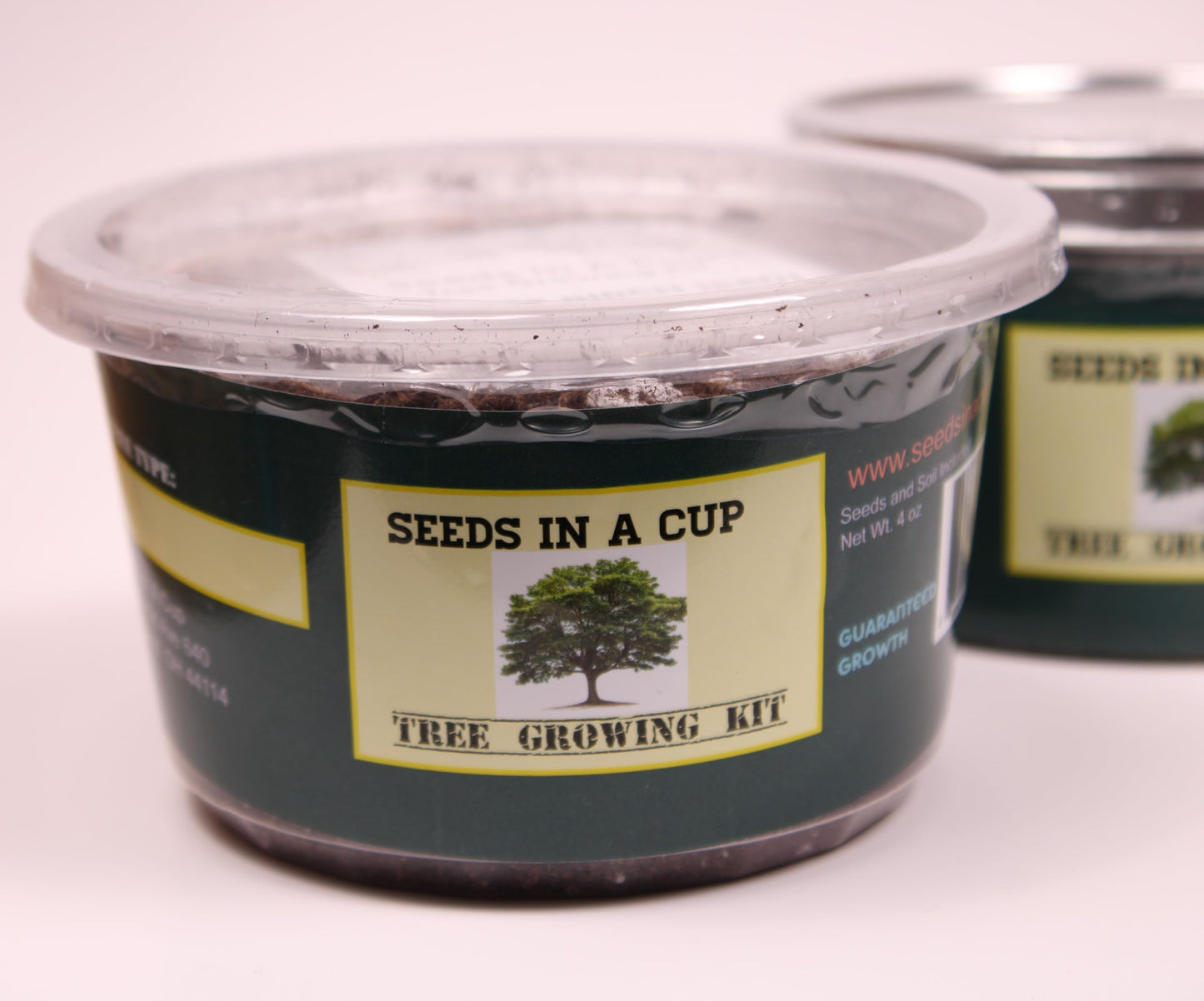 Seeds In A Cup: Plum Tree Grow Kit | Easy to use | Educational | Great Gift Idea | Help Planet | (Plastic Planter)