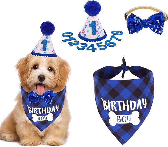ADOGGYGO Dog Birthday Hat, Pink Birthday Girl Bandana Set, Small