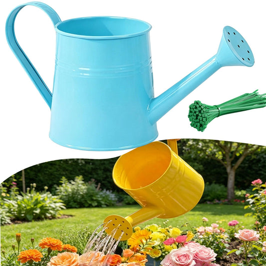 1 Gallon Metal Watering Can, Galvanized Steel White Watering Can Metal, Leak-Proof Vintage Flowers Sprinkling Pot, Long Spout Garden Irrigation Tool for Indoor Outdoor Plants (Blue)