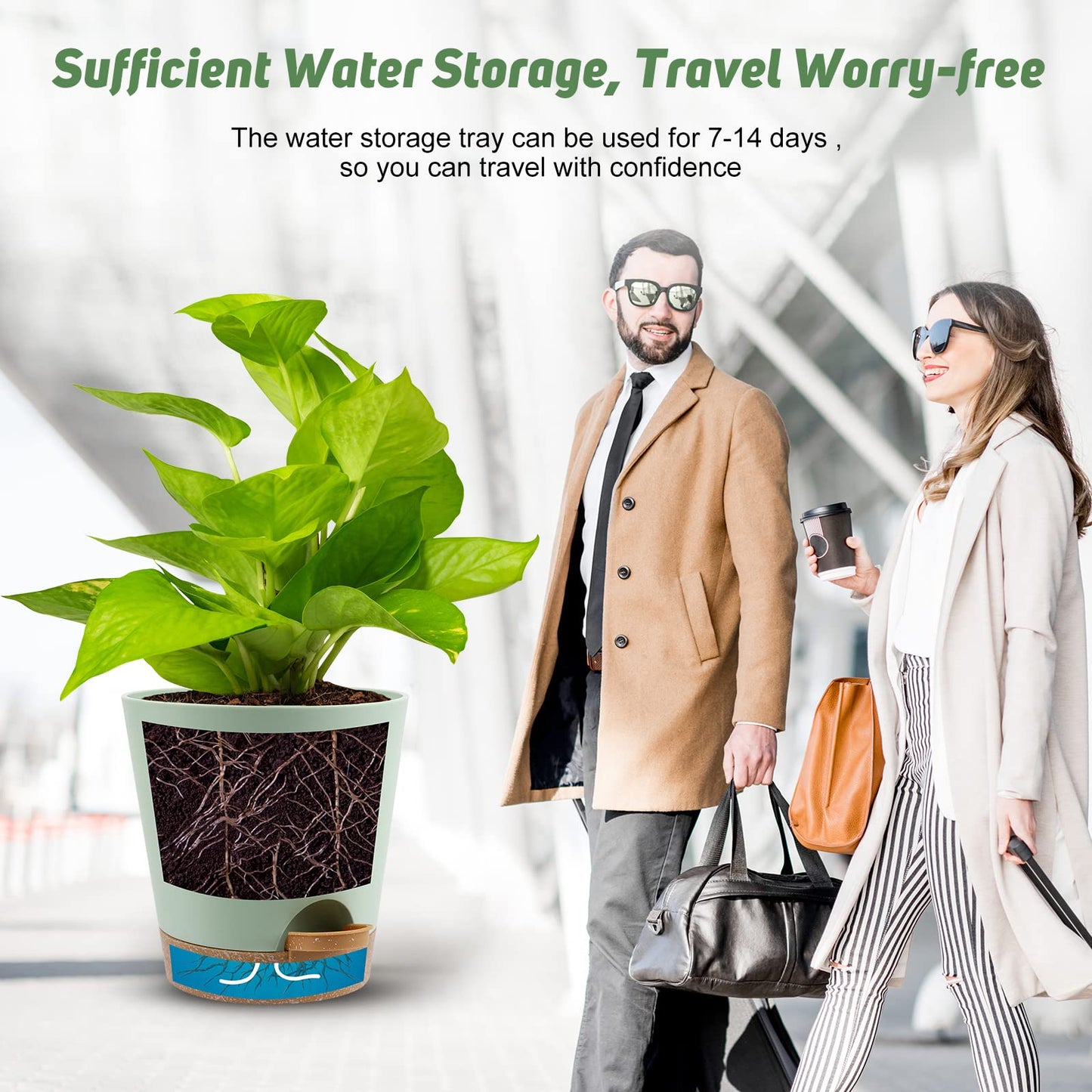 YNNICO Indoor Self Watering Planters with Drainage Holes and Saucers, 8, 7, 6.5, 6, 5.5, 5 Inches, Green, 6 Pots.