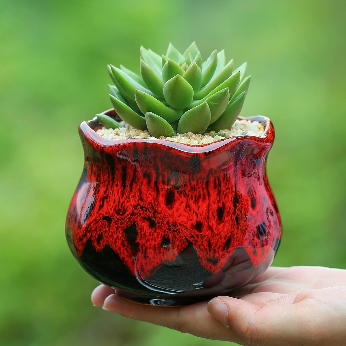 Fulloog Cute Ceramic Succulent Planters, Garden Pots with Drainage and Attached Saucer, Set of 6 - Plants Not Included