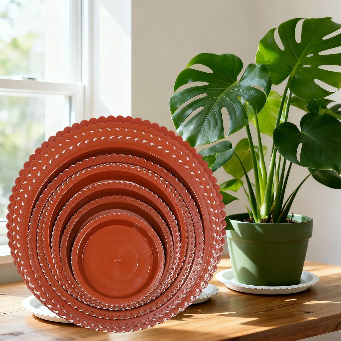 JAKOUE 4 Size Round lace Plant Saucer,6 Pack Pant Pot Trays, Plant Saucers for Indoors and Outdoors, Seed Starting Tray, Growing Trays,White（4",5",6",8"）
