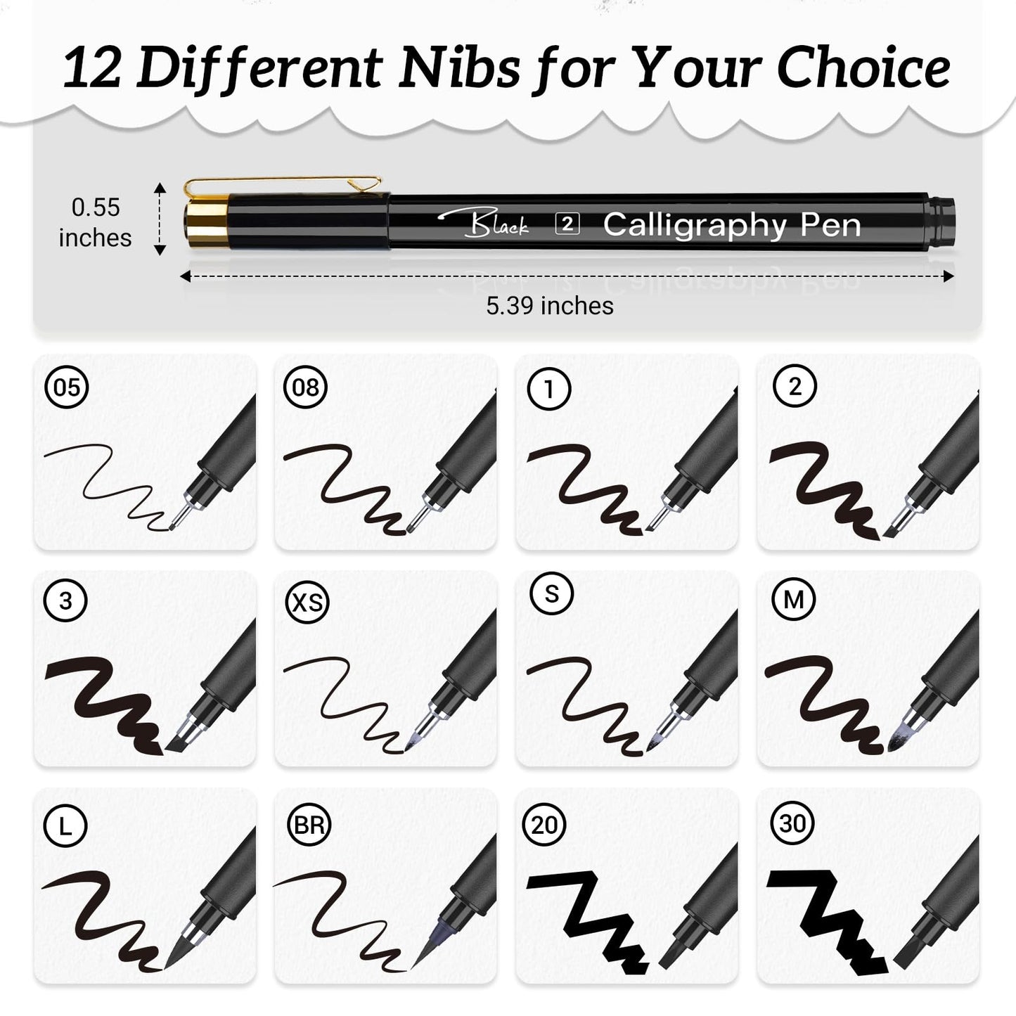 APOGO Calligraphy Pen Set for Beginners, 12 Size Calligraphys Pens for Writing, Hand Lettering Pens for Adults, Brush Pens for Art Drawing, Sketching, Scrapbooking, Journaling, Signing