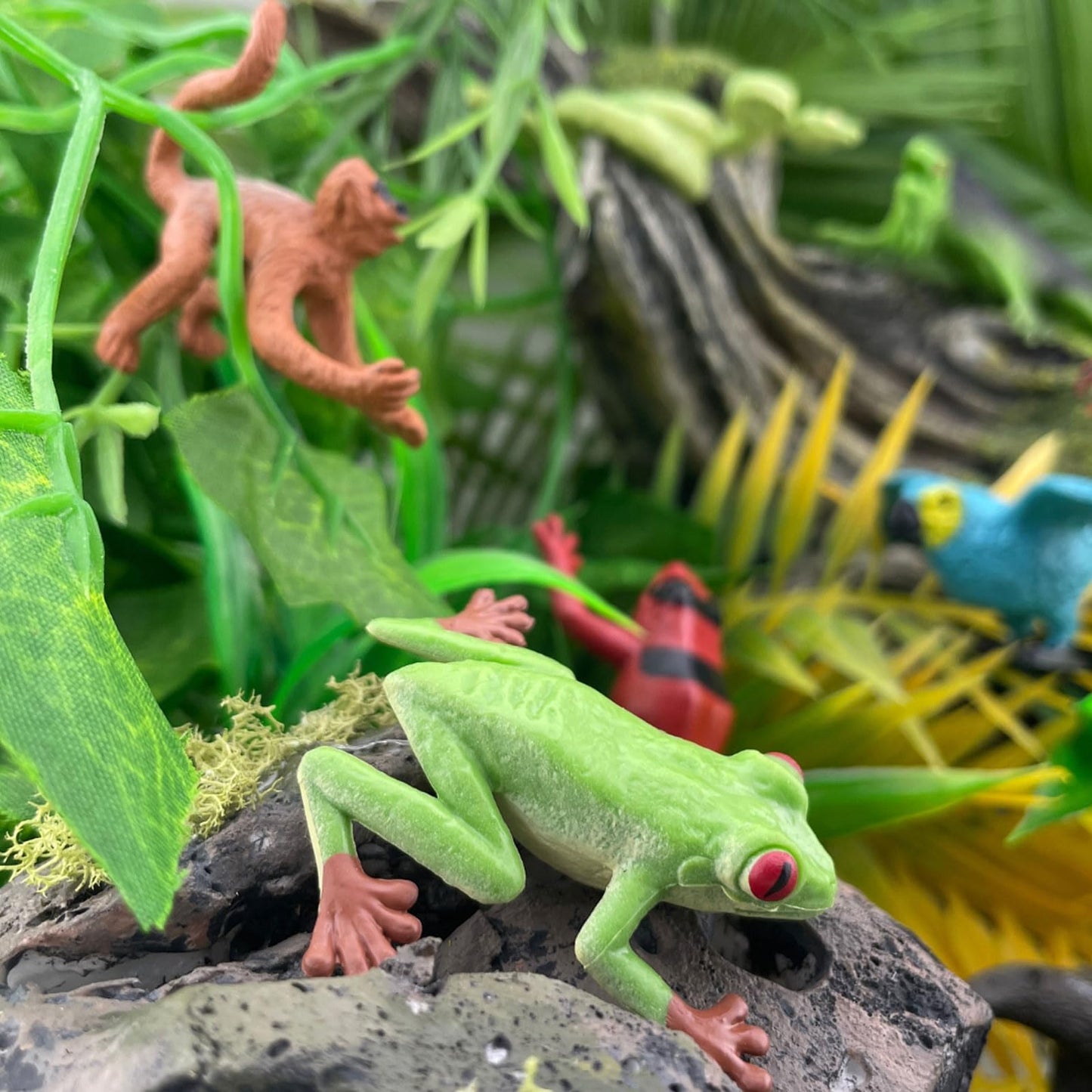 Safari Ltd. Rainforest TOOB - 11 Figurines: Macaw, Frogs, Toucan, Iguana, Monkey, and More - Educational Toy Figures For Boys, Girls, and Kids Ages 3+
