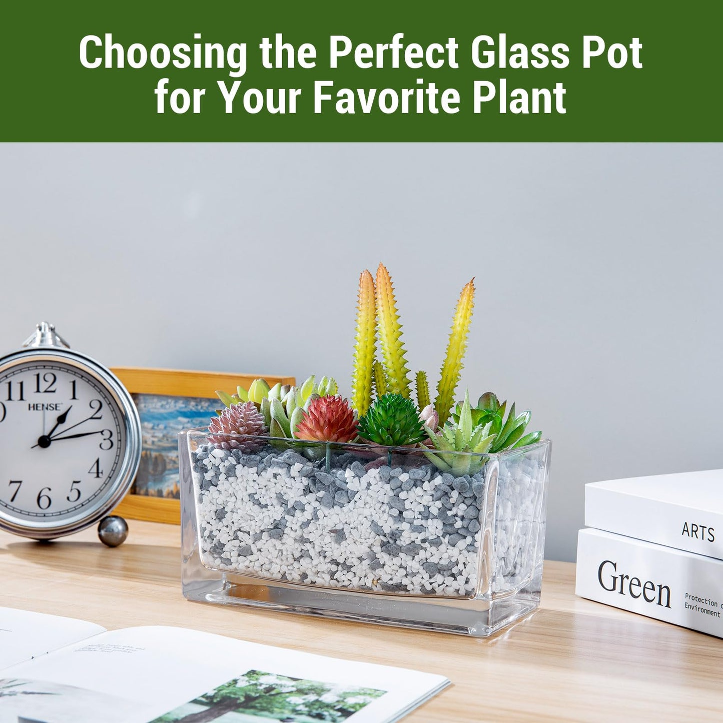 MyGift 7.8 inch Modern Rectangular Glass Vase, Trough Planter, Tabletop Glass Terrarium