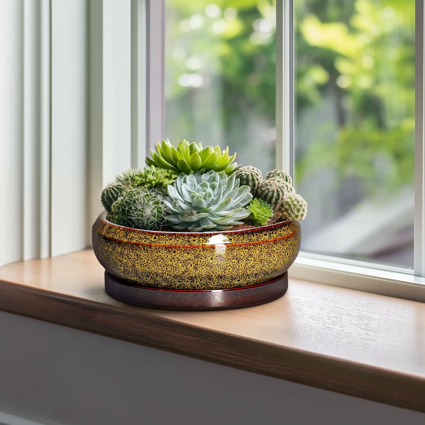 EPFamily Bonsai Pots Ceramic - 10 Inch Succulent Planters Indoor Outdoor, Shallow Planter with Drainage Hole and Saucer, Round Planter Bowl, Succulent Pots, House Decor, Gifts for Plant Lover, Yellow