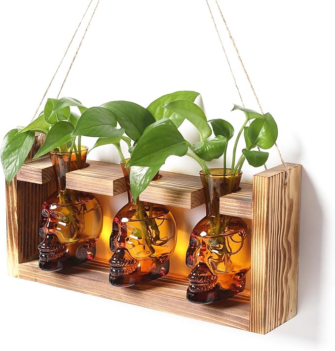 Plant Terrarium Propagation Stations Hydroponics Halloween Skull Planter Vase Skulls Decor with Wooden Stand Gift for Father