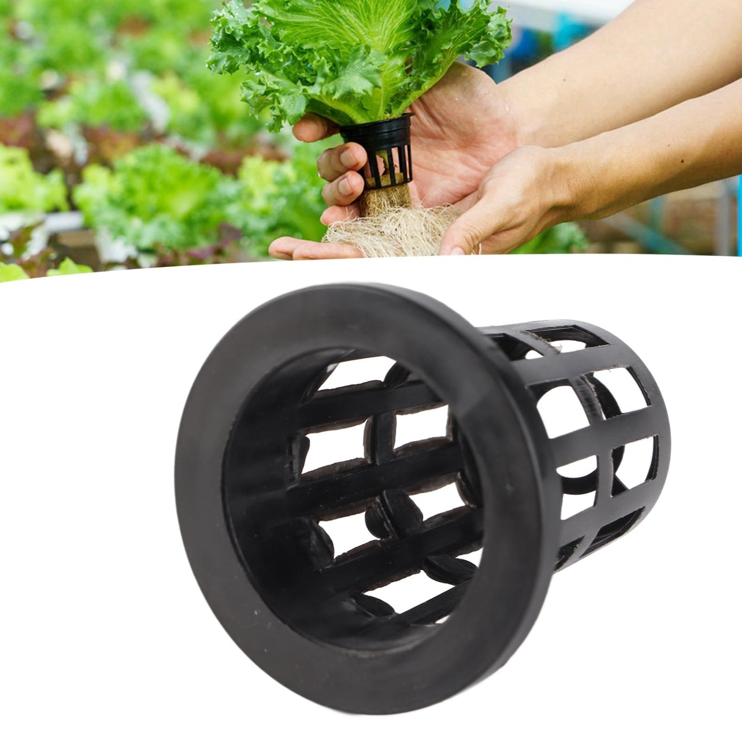 GBSCLOVER 50Pcs Net Pots for Hydroponics, Stable Hydroponic Pots, Practical Plant Basket Easy Use for Hydroponic Vegetables and Soilless Cultivation, 1.7x1.2x1.8x1.0in