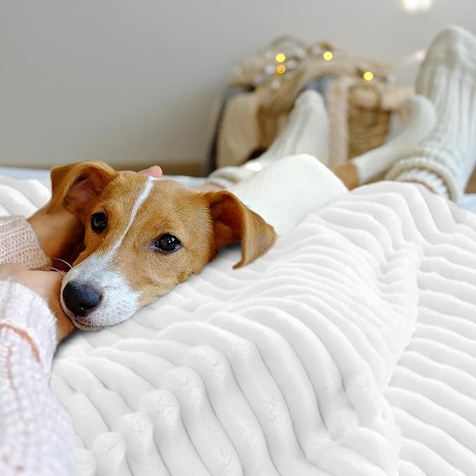 INFIIXSO Sherpa Throw Blanket for Couch - Super Soft & Warm Striped Fleece Blanket, Cozy Plush Fluffy Blanket All Season Use (Off White, 50x60 Inches)